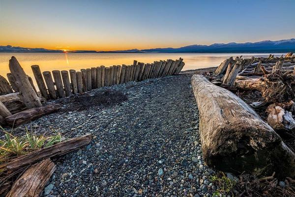 comox-valley-beach-driftwood-sunset