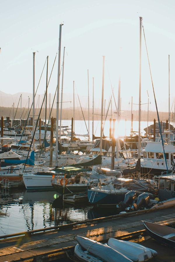 Boats docked at Comox Harbour marina at sunset