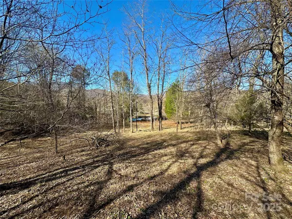 151 Church Hollow RD, Boone, NC 28607