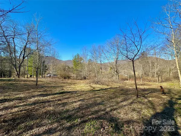 151 Church Hollow RD, Boone, NC 28607