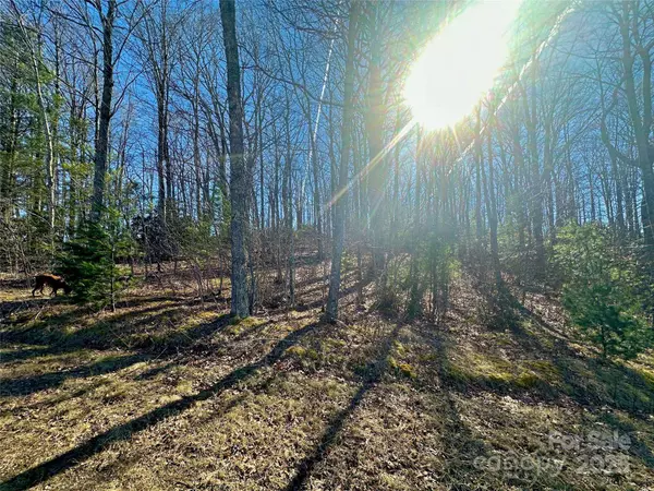 TBD Snipe Hill DR, Newland, NC 28657