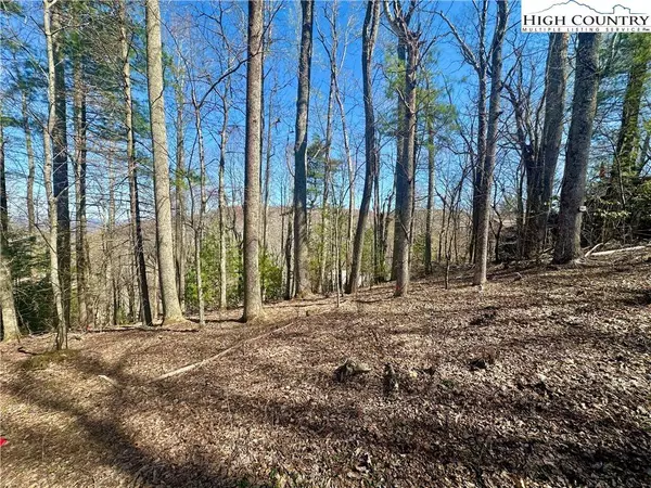 TBD Indian TRL, Boone, NC 28607