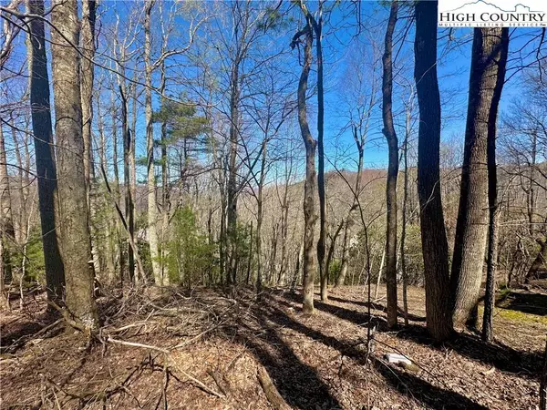 TBD Indian TRL, Boone, NC 28607