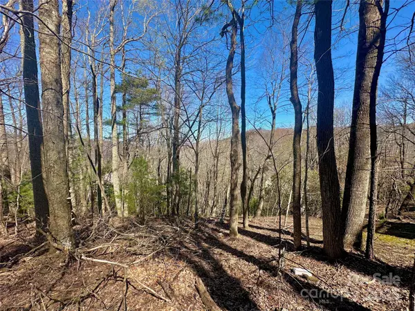 TBD Indian TRL, Boone, NC 28607