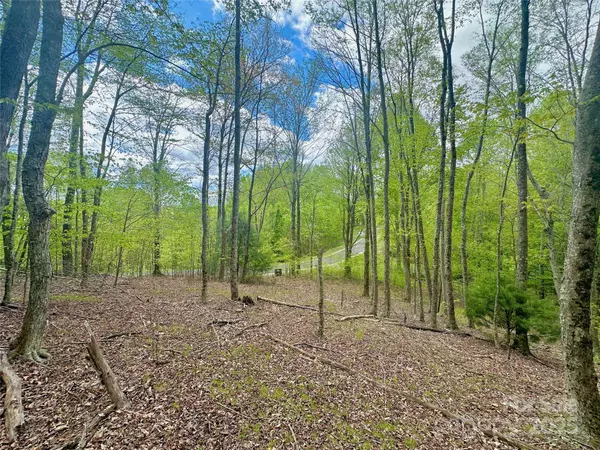 TBD jackson ridge RD, Boone, NC 28607