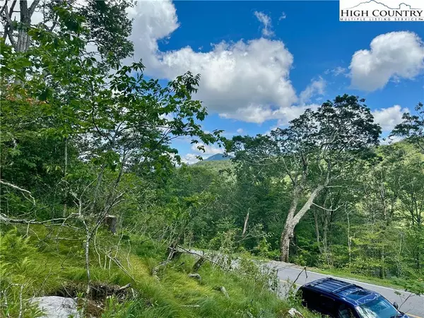 255/256 Grouse Moor DR, Sugar Mountain, NC 28604