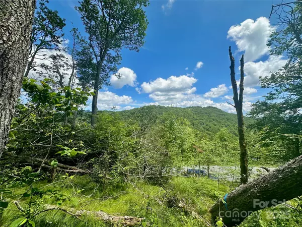 255/256 Grouse Moor DR #255/256, Sugar Mountain, NC 28604