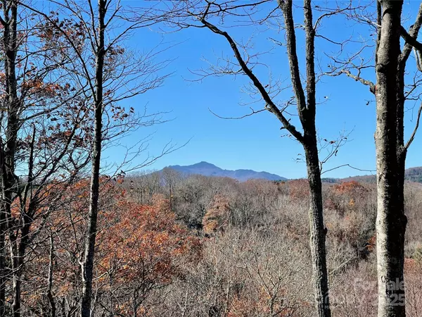 TBD Firethorn TRL #142, Blowing Rock, NC 28605