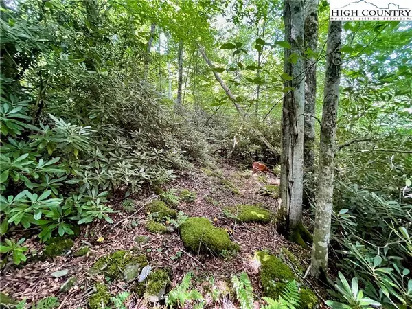 125 Stone Ledge LN, Blowing Rock, NC 28605