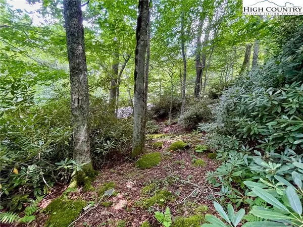125 Stone Ledge LN, Blowing Rock, NC 28605