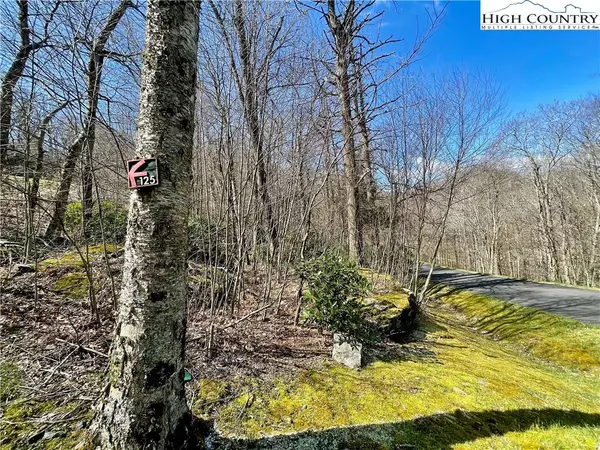 125 Stone Ledge LN, Blowing Rock, NC 28605