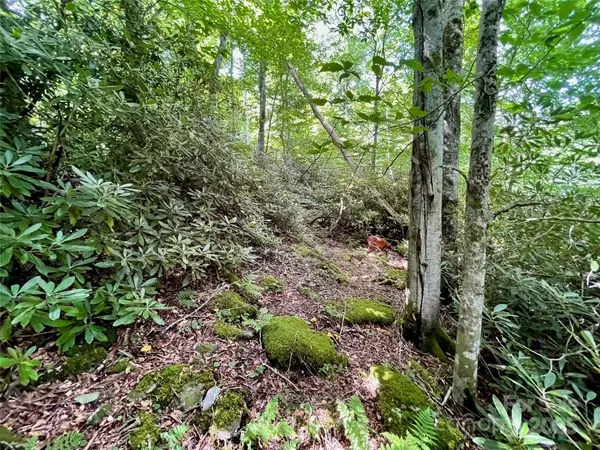 125 Stoneledge LN #125, Blowing Rock, NC 28605