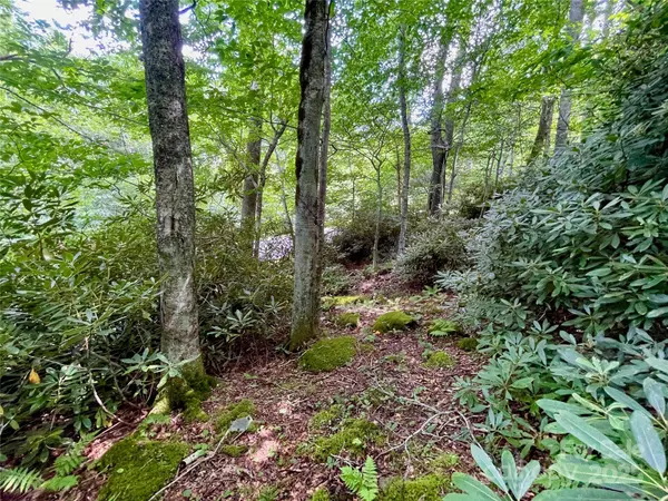 125 Stoneledge LN #125, Blowing Rock, NC 28605