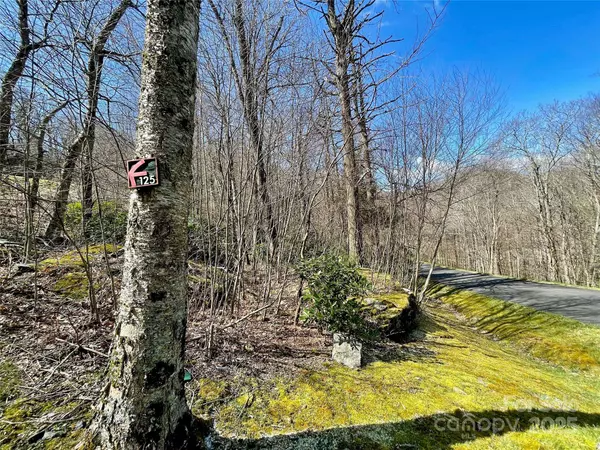 125 Stoneledge LN #125, Blowing Rock, NC 28605