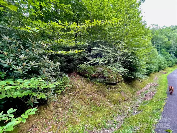 125 Stoneledge LN #125, Blowing Rock, NC 28605