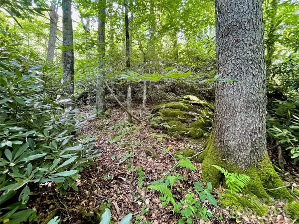 125 Stoneledge LN #125, Blowing Rock, NC 28605