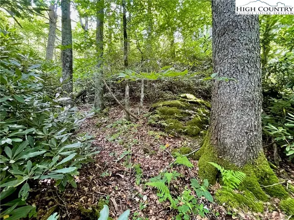 125 Stone Ledge LN, Blowing Rock, NC 28605