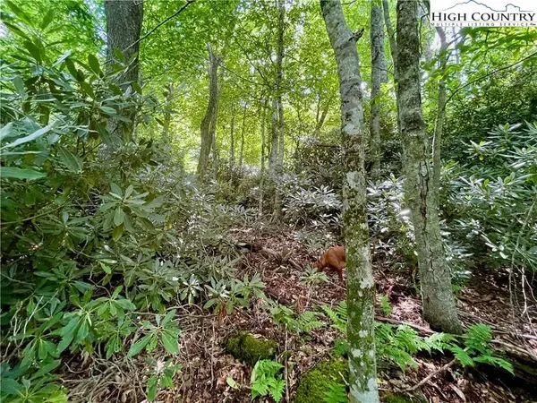 125 Stone Ledge LN, Blowing Rock, NC 28605