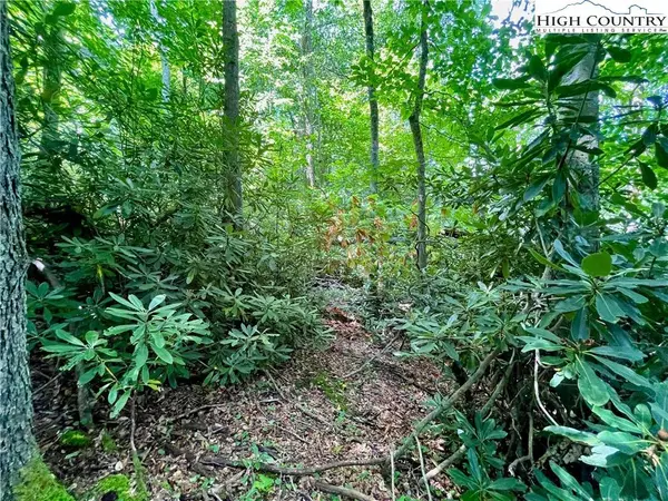 125 Stone Ledge LN, Blowing Rock, NC 28605