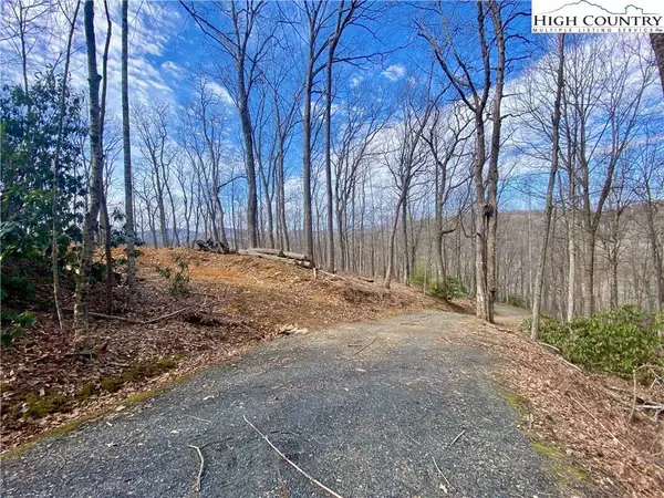TBD Old Chestnut Mountain RD, Newland, NC 28657