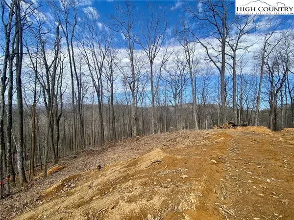 TBD Old Chestnut Mountain RD, Newland, NC 28657