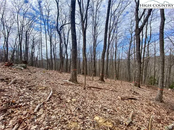 TBD Old Chestnut Mountain RD, Newland, NC 28657