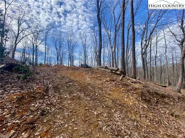TBD Old Chestnut Mountain RD, Newland, NC 28657