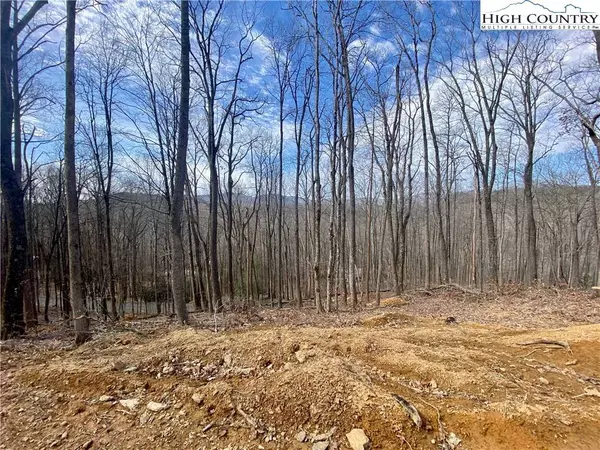 TBD Old Chestnut Mountain RD, Newland, NC 28657