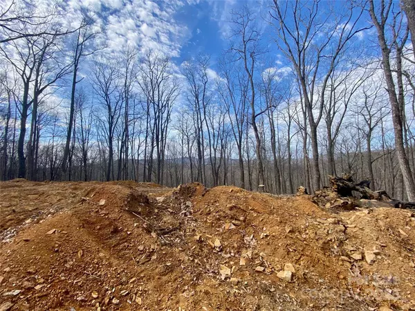 TBD Old chestnut mountain RD, Newland, NC 28657