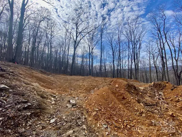 TBD Old chestnut mountain RD, Newland, NC 28657