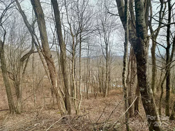 TBD Alpine DR #21-22, Seven Devils, NC 28604