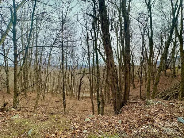 TBD Alpine DR #21-22, Seven Devils, NC 28604