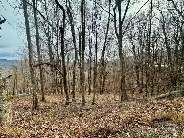 TBD Alpine DR #21-22, Seven Devils, NC 28604