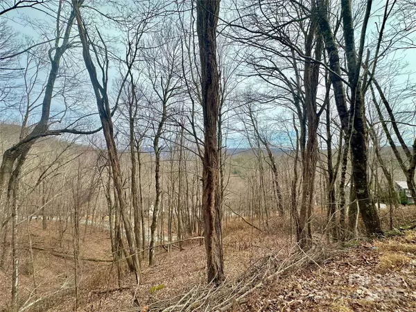 TBD Alpine DR #21-22, Seven Devils, NC 28604