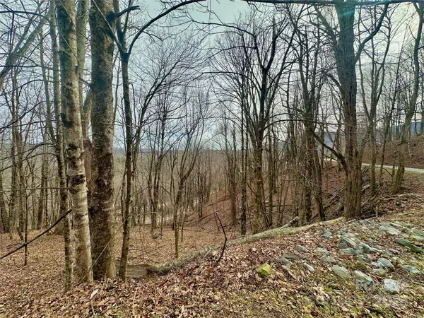 TBD Alpine DR #21-22, Seven Devils, NC 28604