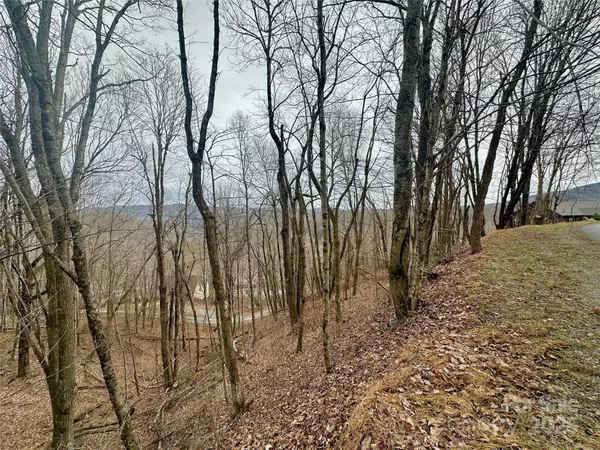 TBD Alpine DR #21-22, Seven Devils, NC 28604