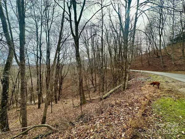 TBD Alpine DR #21-22, Seven Devils, NC 28604