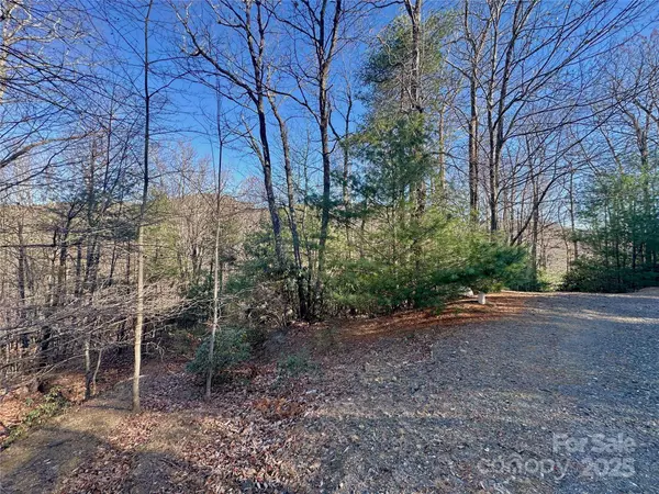 TBD Moonbeam LN #24, 25, Deep Gap, NC 28618