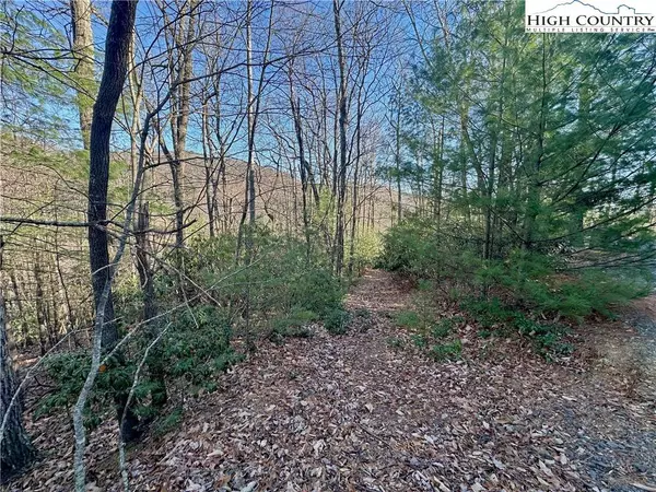 TBD Moon Beam LN, Deep Gap, NC 28618