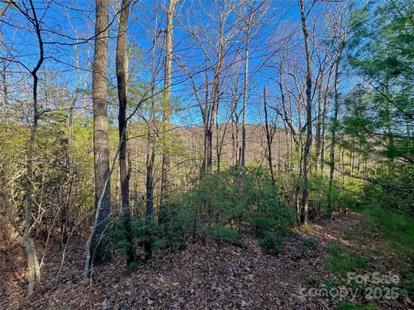 TBD Moonbeam LN #24, 25, Deep Gap, NC 28618
