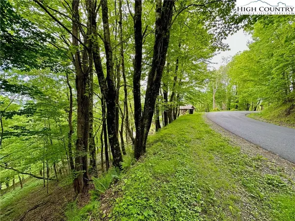 TBD Alpine DR, Seven Devils, NC 28604