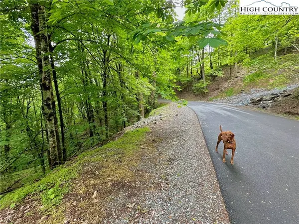 TBD Alpine DR, Seven Devils, NC 28604