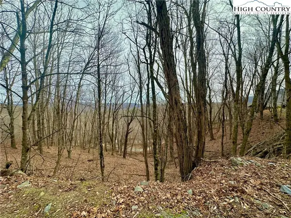 TBD Alpine DR, Seven Devils, NC 28604