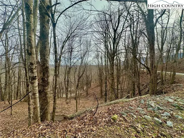 TBD Alpine DR, Seven Devils, NC 28604