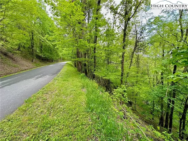 TBD Alpine, Seven Devils, NC 28604