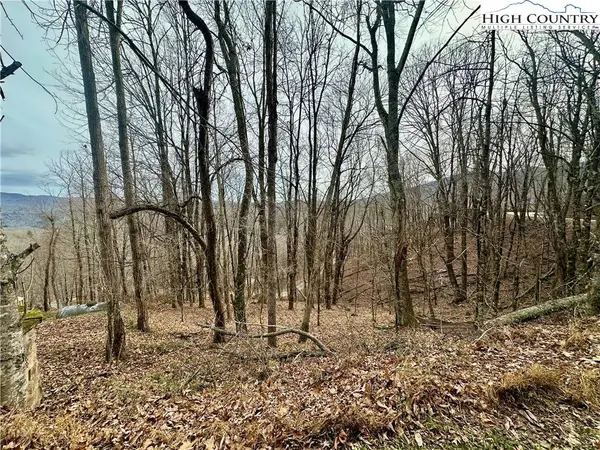 TBD Alpine DR, Seven Devils, NC 28604