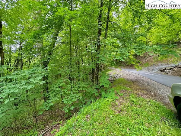 TBD Alpine DR, Seven Devils, NC 28604