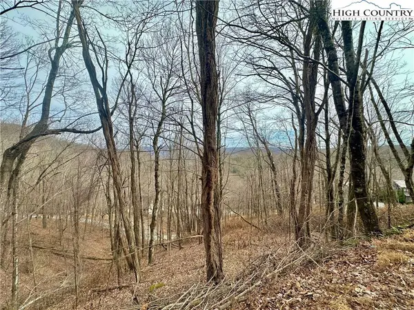 TBD Alpine DR, Seven Devils, NC 28604
