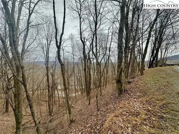 TBD Alpine DR, Seven Devils, NC 28604