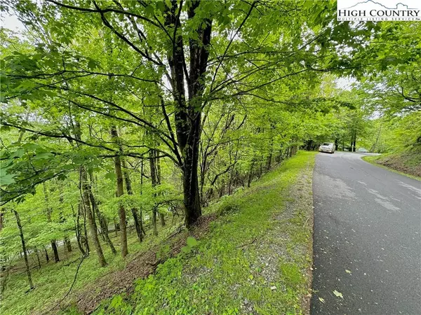 TBD Alpine, Seven Devils, NC 28604